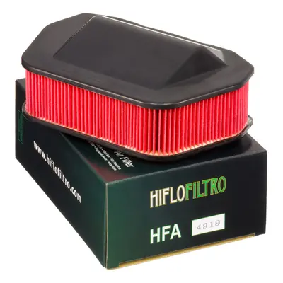 Vzduchový filtr HIFLO HFA4919 (30, 12-95582, Y4249) (HIFLO vzduchový filtr YAMAHA XVS 950 07-17,