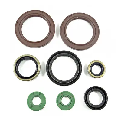 Sada gufer motoru BEARING WORX OSK30248 (BEARING WORX sada gufer motoru HONDA CRF 250R 04-09, CR