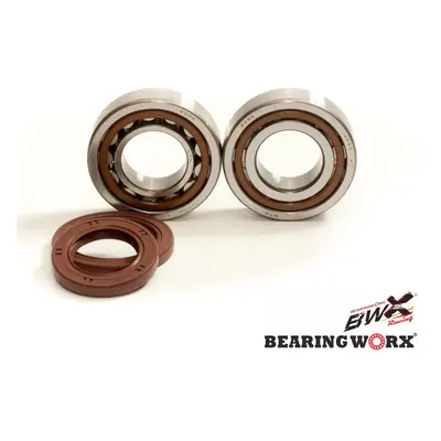 Ložiska klikové hřídele s těsněním BEARING WORX CBK60009-Z (BEARING WORX ložiska klikové hřídele