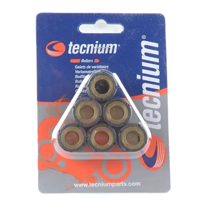 TECNIUM (VIcmA) závaží variátoru 16X13mm 5G 6SZT (3918) (TECNIUM (VIcmA) závaží variátoru 16X13m