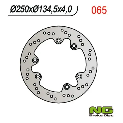 Brzdový kotouč NG Brakes NG065 (NG brzdový kotouč zadní SUZUKI DR 600/650/750/800 (250X134,5X4))