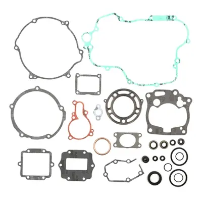 Kompletní sada těsnění včetně kompletního těsnění motoru PROX 34.4221 (PROX kompletní sada těsně