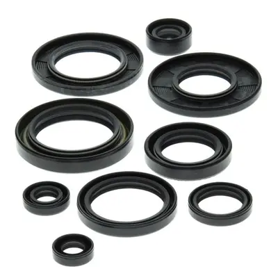 WINDEROSA (VERTEX) sada gufer motoru SUZUKI LT-250R 87-92 (822148) (WINDEROSA (VERTEX) sada gufe