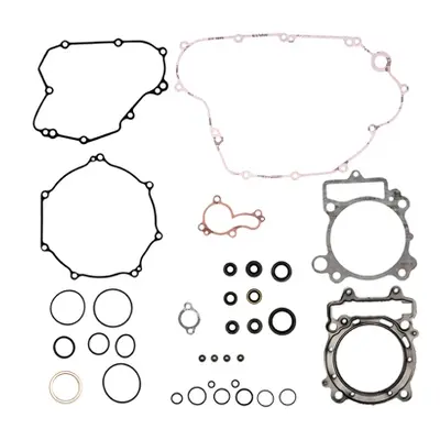 Kompletní sada těsnění včetně kompletního těsnění motoru PROX 34.4419 (PROX kompletní sada těsně