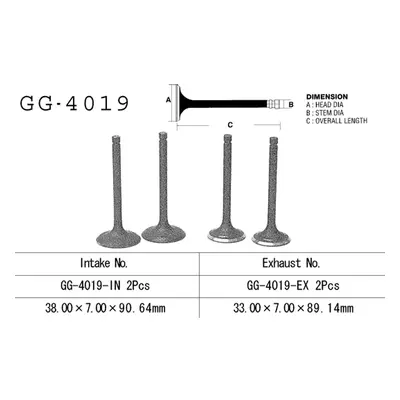 Sací ventil VESRAH GG-4019-IN (VESRAH sací ventil KAWASAKI KLR 600 84-89 (12004-1054) (1 kus) vy