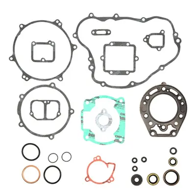 Kompletní sada těsnění včetně kompletního těsnění motoru PROX 34.4285 (PROX kompletní sada těsně
