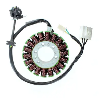 Vinutí alternátoru (stator) ELECTROSPORT ESG113 (ELECTROSPORT vinutí alternátoru (stator) KAWASA