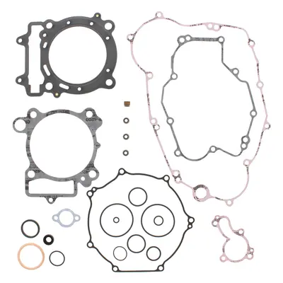 WINDEROSA (VERTEX) kompletní sada těsnění KAWASAKI KLX 450R 08-09 (808480) (WINDEROSA (VERTEX) k