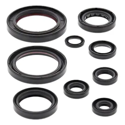 WINDEROSA (VERTEX) sada gufer motoru HONDA CRF250R 10-17 (822357) (WINDEROSA (VERTEX) sada gufer