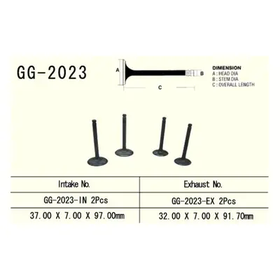 Sací ventil VESRAH GG-2023-IN (VESRAH sací ventil YAMAHA YFM 600 GRIZZLY 98-01, XT600 87-03, TT6