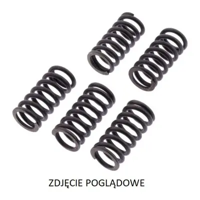 TRW ZF spojkové pružiny DUCATI 749S/R 03-07, 916 ST4 99-03, 944 ST2 97-03, 996 ST4 01-03, 999 BI