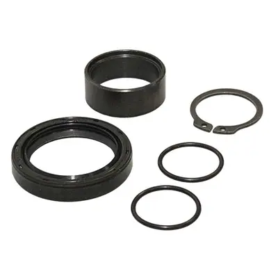 Sada na opravu vačkového hřídele BEARING WORX CRK50004 (BEARING WORX sada na opravu vačkového hř