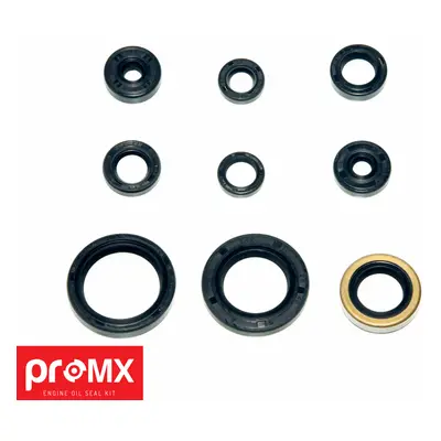 Sada gufer motoru PROMX PR0204 (PROMX sada gufer motoru KAWASAKI KXF 250 (04-05) SUZUKI RMZ 250 