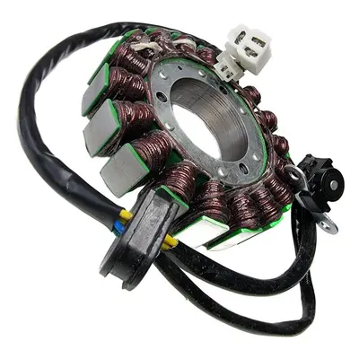 Vinutí alternátoru (stator) ELECTROSPORT ESG763 (ELECTROSPORT vinutí alternátoru (stator) SUZUKI