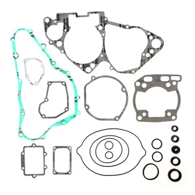 Kompletní sada těsnění včetně kompletního těsnění motoru PROX 34.3319 (PROX kompletní sada těsně