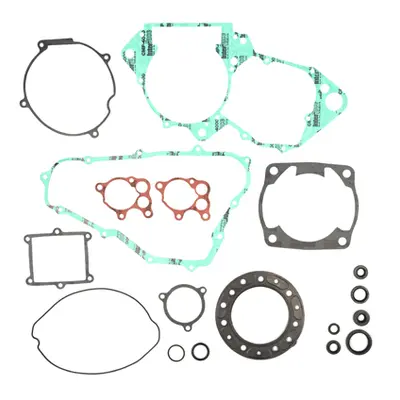 Kompletní sada těsnění včetně kompletního těsnění motoru PROX 34.1409 (PROX kompletní sada těsně