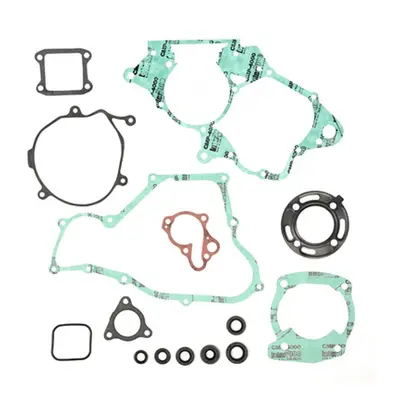 Kompletní sada těsnění včetně kompletního těsnění motoru PROX 34.1113 (PROX kompletní sada těsně