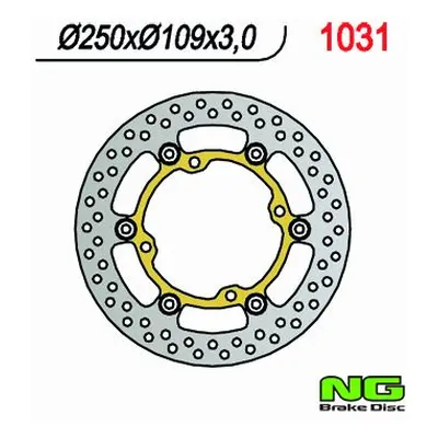 Brzdový kotouč NG Brakes NG1031 (NG brzdový kotouč přední KAWASAKI KXF 250/450 03-14 (250X109X3)