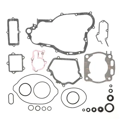 Kompletní sada těsnění včetně kompletního těsnění motoru PROX 34.2322 (PROX kompletní sada těsně