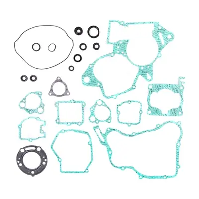 Kompletní sada těsnění včetně kompletního těsnění motoru PROX 34.1224 (PROX kompletní sada těsně
