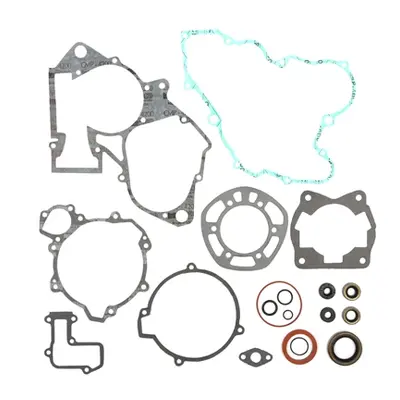 Kompletní sada těsnění včetně kompletního těsnění motoru PROX 34.6201 (PROX kompletní sada těsně
