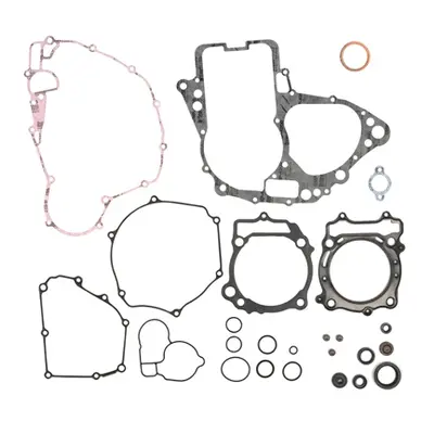 Kompletní sada těsnění včetně kompletního těsnění motoru PROX 34.3409 (PROX kompletní sada těsně