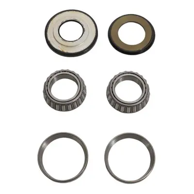 Ložiska řízení s těsnícími prvky BEARING WORX SBK60004-C01 (BEARING WORX ložiska řízení s těsní