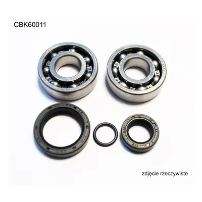 Ložiska klikové hřídele BEARING WORX CBK60011 (BEARING WORX ložiska klikové hřídele KTM SX 50 10