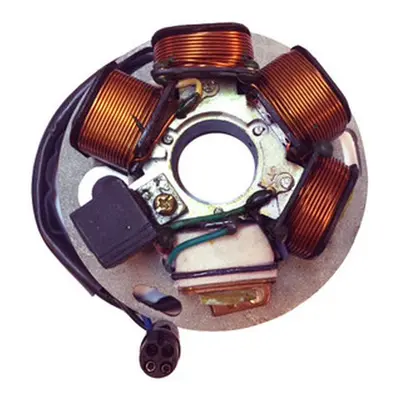 Stator (vinutí) alternátoru DZE ELEKTRYKA 02940-01 (DZE stator (vinutí) alternátoru PIAGGIO VESP