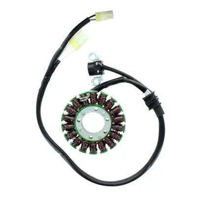 Vinutí alternátoru (stator) ELECTROSPORT ESG769 (ELECTROSPORT vinutí alternátoru (stator) YAMAHA