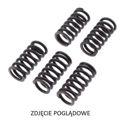 TRW ZF spojkové pružiny DUCATI MONSTER EVO 1100 11-13, PANIGALE 1199 12-14, DIAVEL 1200 11-16, M