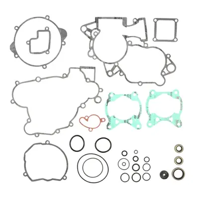 Kompletní sada těsnění včetně kompletního těsnění motoru PROX 34.6103 (PROX kompletní sada těsně