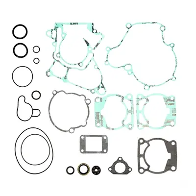 Kompletní sada těsnění včetně kompletního těsnění motoru PROX 34.6012 (PROX kompletní sada těsně