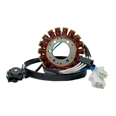 Stator (vinutí) alternátoru DZE ELEKTRYKA 02948-01 (DZE stator (vinutí) alternátoru YAMAHA XV 25