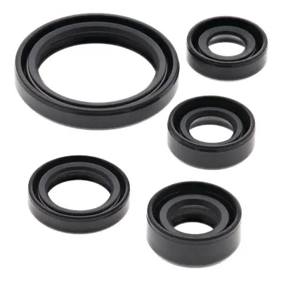 WINDEROSA (VERTEX) sada gufer motoru KAWASAKI KLX125 03-06, KLX125L 03-06, SUZUKI DR125 86-88, D