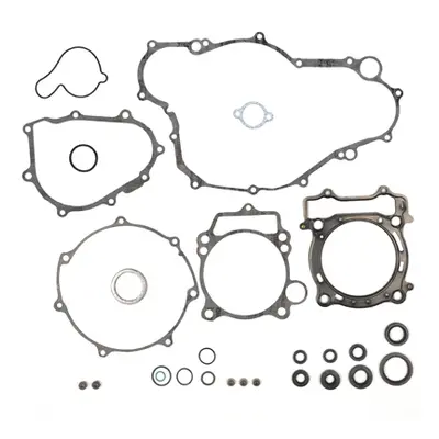 Kompletní sada těsnění včetně kompletního těsnění motoru PROX 34.2423 (PROX kompletní sada těsně
