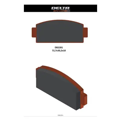 Brzdové destičky DELTA BRAKING DB2281OR-D (DELTA BRAKING brzdové destičky KH651 CF MOTO C-FORCE 