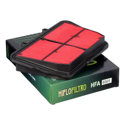 Vzduchový filtr HIFLO HFA6501 (11-17, T2200557, 20, 12-94217) (HIFLO vzduchový filtr TRIUMPH 800