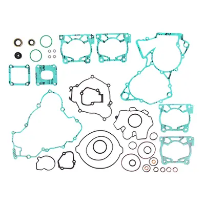 Kompletní sada těsnění včetně kompletního těsnění motoru PROX 34.6216 (PROX kompletní sada těsně