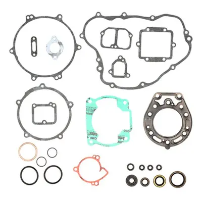 Kompletní sada těsnění včetně kompletního těsnění motoru PROX 34.4287 (PROX kompletní sada těsně