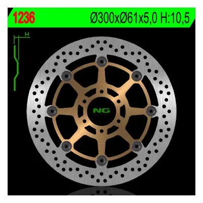 Brzdový kotouč NG Brakes NG1236 (NG přední brzdový kotouč CAGIVA 650/1000 raptor (300X61X5) (6X8