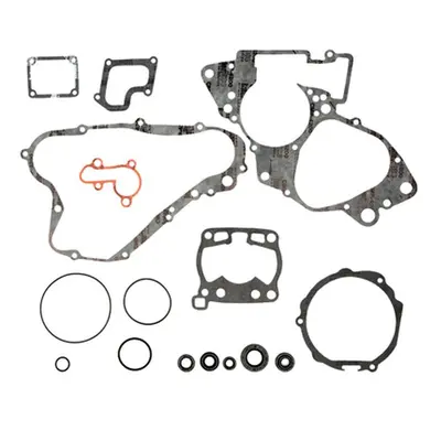 Kompletní sada těsnění včetně kompletního těsnění motoru PROX 34.3111 (PROX kompletní sada těsně