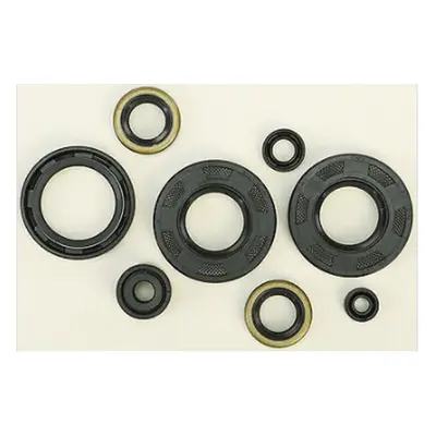 WINDEROSA (VERTEX) sada gufer motoru KAWASAKI KX125 85-87 (822293) (WINDEROSA (VERTEX) sada gufe