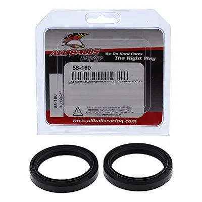 Gufera vidlice ALL BALLS 55-160 (ALL BALLS gufera vidlice DUCATI HYPERMOTARD 1100 S 08-09, MULTI