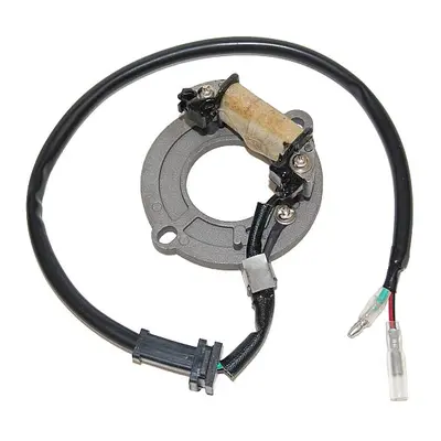 ELECTROSPORT vinutí alternátoru (stator) HONDA CR 80 83-02, 85 03-04 (ESC1631) (ELECTROSPORT vin