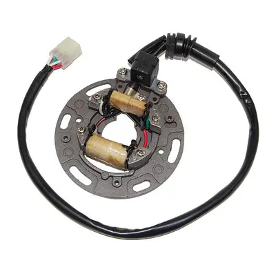 ELECTROSPORT vinutí alternátoru (stator) KAWASAKI KX 125 95-97 (s plotnou i KABALMI) (ESC1357) (