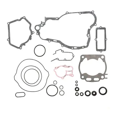 Kompletní sada těsnění včetně kompletního těsnění motoru PROX 34.2319 (PROX kompletní sada těsně