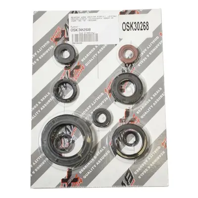 Sada gufer motoru BEARING WORX OSK30268 (BEARING WORX sada gufer motoru HONDA CR 250R 05-07 (822