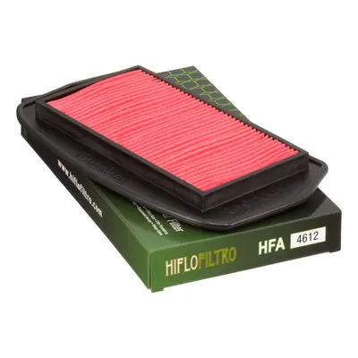 Vzduchový filtr HIFLO HFA4612 (04-10, 20, 12-95882, Y4174, OEM:5VX-14451-00) (HIFLO vzduchový fi