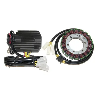 Vinutí alternátoru (stator) ELECTROSPORT ESG691 (ELECTROSPORT vinutí alternátoru (stator) KAWASA